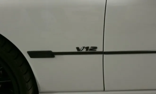 Magnifique polylustrer 850ci, Bron, BECAR'S Detailing